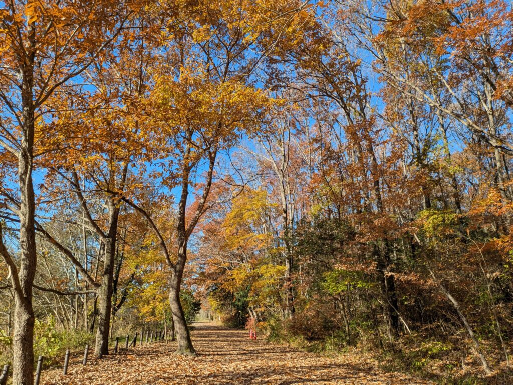 穏やかな日差しの中で自然を感じる時間