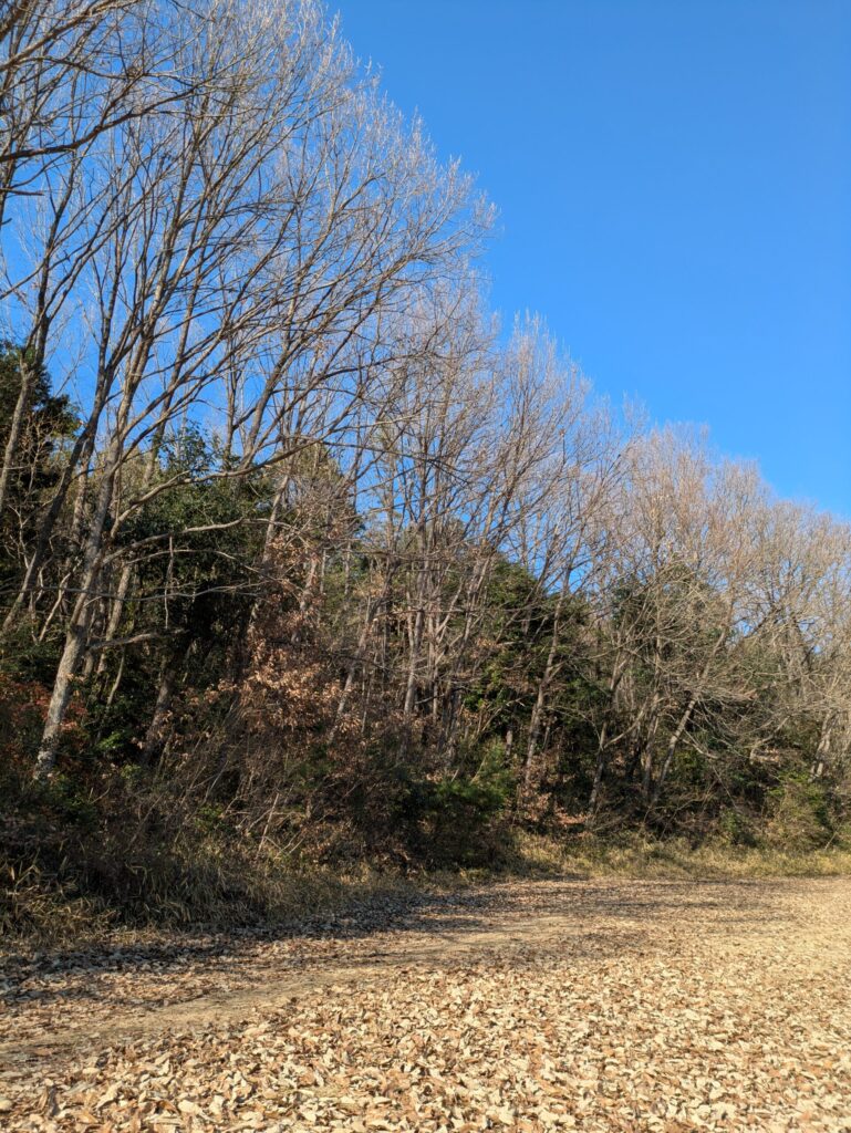 自然を感じる豊かな時間