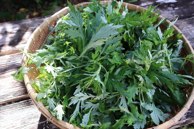 春の旬の食材は身体にため込んだ毒素を排出するデトックス食材